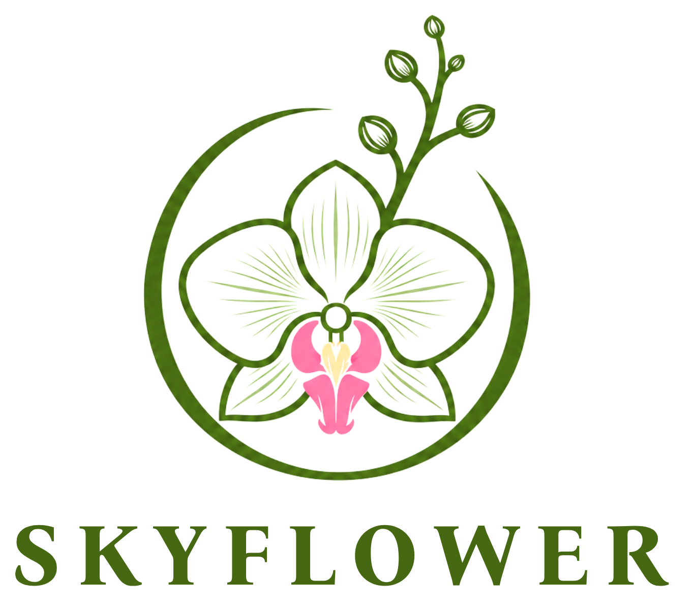 Cửa Hàng Hoa Tươi Và Hoa Lan Hồ Điệp| Hoa lan hồ điệp | hoa tươi|hoa chúc mừng|hoa khai trương|Skyflower.vn|